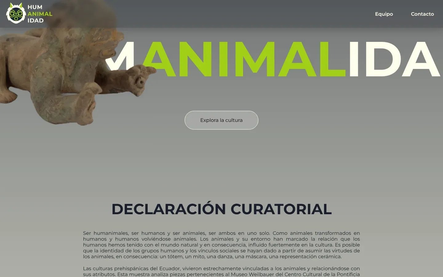 The Humanimalidad home page after a short scroll: the huge title has slid left so it reads MANIMALIDA, with ANIMAL in lime green, while the clay jaguar figure has drifted right and overlaps the letters. A rounded Explora la cultura button sits below and the Declaración curatorial heading starts at the bottom.